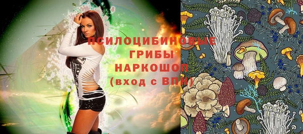 дмт Алзамай