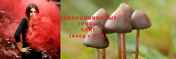 дмт Алзамай