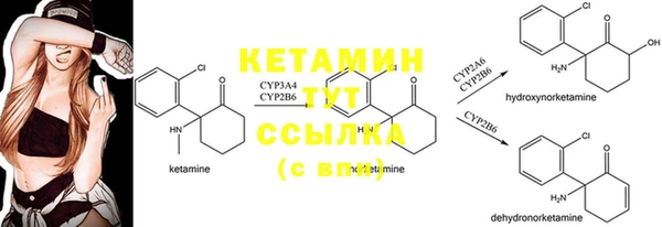 дмт Алзамай