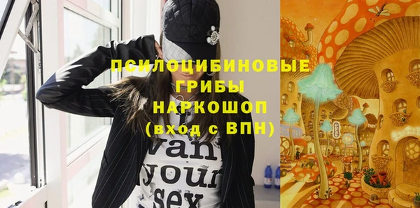 хмурый Алексеевка