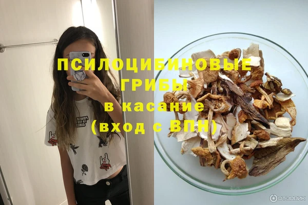 хмурый Алексин