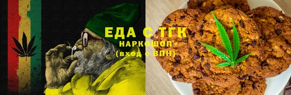 хмурый Алексин