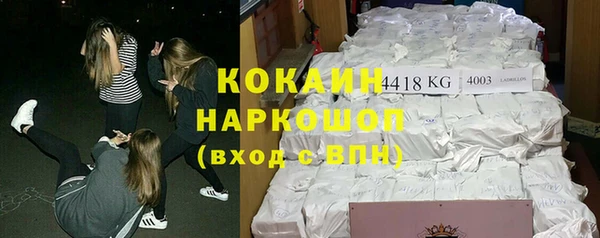 хмурый Алексин