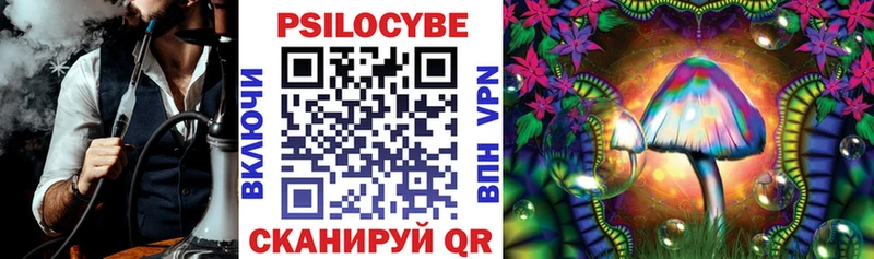 Галлюциногенные грибы Psilocybe  Люберцы 